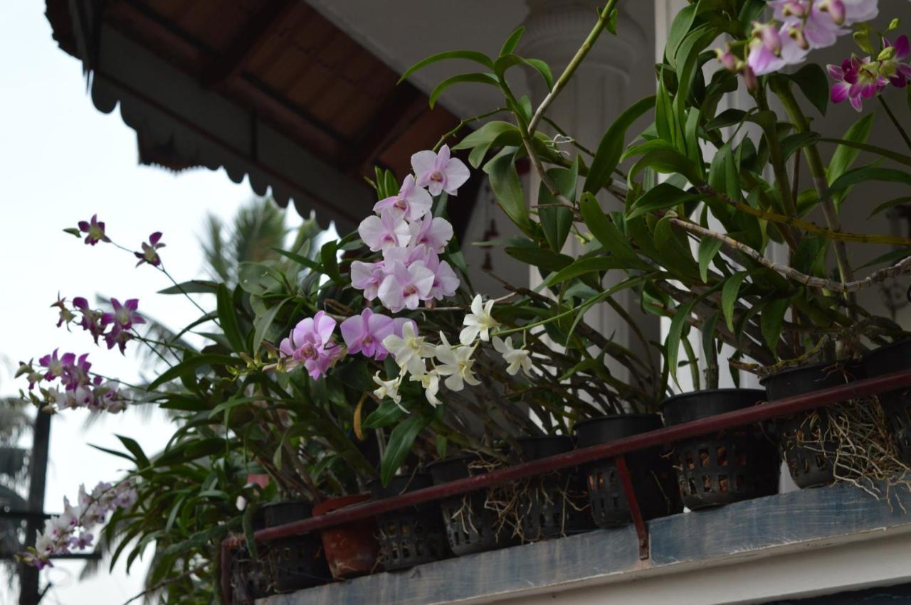 Dream Catcher Home Stay Kochi Esterno foto